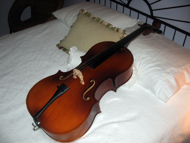 Vintage Engelhardt 1/2 Cello